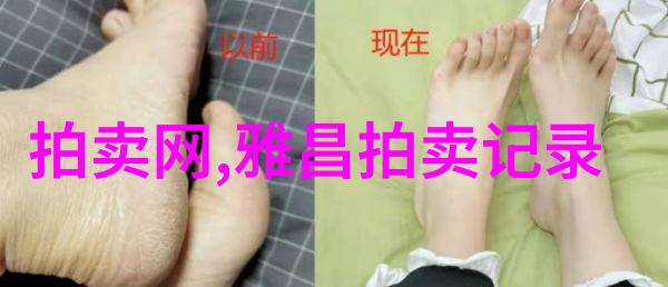 如见丨一蓑烟雨苏轼中国传统文化数字艺术展重磅开幕